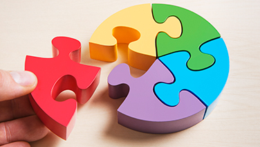 Puzzle a forma di torta