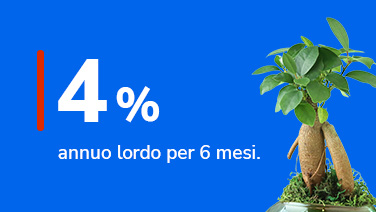 Tasso 4% annuo lordo per 6 mesi vicino ad un ficus.