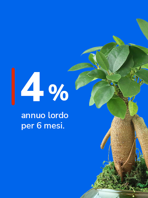 Tasso 4% annuo lordo per 6 mesi vicino ad un ficus.
