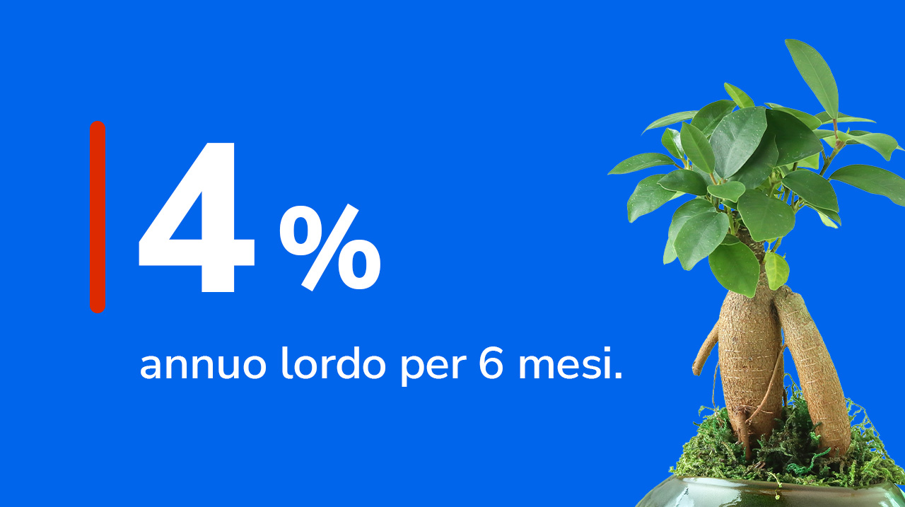 Tasso 4% annuo lordo per 6 mesi vicino ad un ficus.