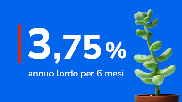 Tasso 3,75% annuo lordo per 6 mesi vicino a pianta grassa.